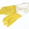Plastic Gloves